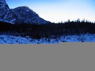 Gostitelj virusa in Andrejka.